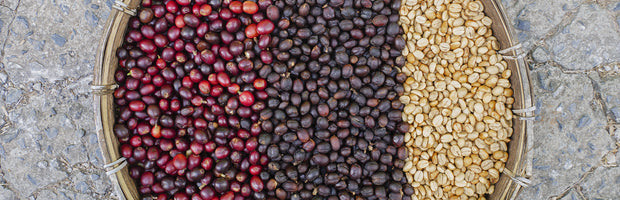 Natural Process - A method of extracting coffee seeds.